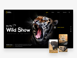 Wildlife Website Template