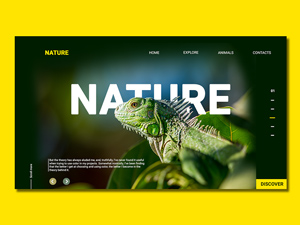 Nature Website Template: Free PSD