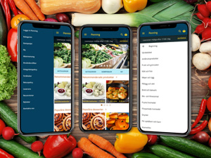 Online Groceries Shopping Mobile Template – Free Sketch