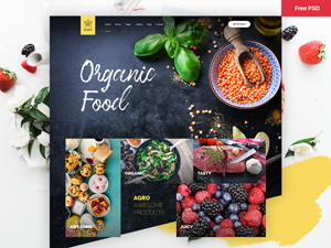Organic Food & Agriculture Website Template