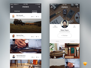 Phobos UI Kit made in Sketch