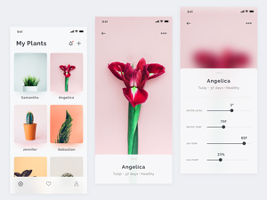 Plants App Concept made in Sketch