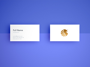 Professional Business Card Mockup PSD