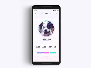 Profile Page UI Design: Free PSD