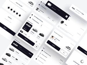 Ridesharing App UI Components Kit
