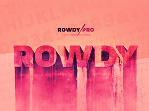 Rowdy Pro Font – Latin Display Typeface