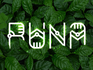 Runa Decorative Font