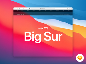 Safari 14 Mockup made in Sketch