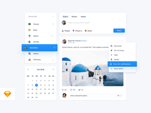 Social Network UI Concept by Quan Ha