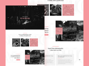 Sophia Photography Landing Page – Free Resource