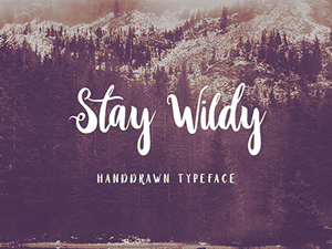Stay Wildy Font – Calligraphy Typeface