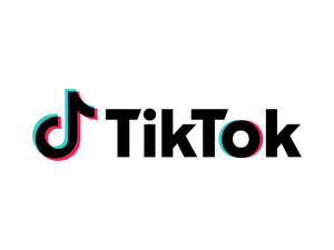 TikTok Logo