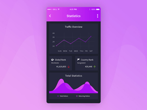 Traffic Statistics App PSD