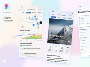 Travel Service App Concept