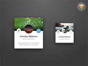 Twitter Card Concept – Sketch Files Included