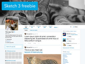 Twitter Profile Sketch 3 Template
