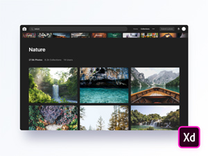 Unsplash Website Dark Theme
