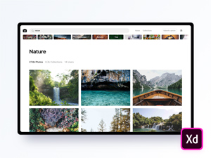 Unsplash Website Concept