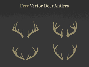 Vector Deer Antlers Pack
