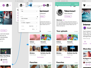 Adobe XD UI Kit – Vido