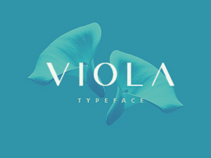 Viola Font