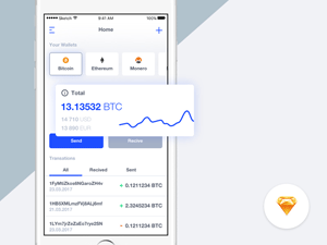 Wallet App Concept for Sketch