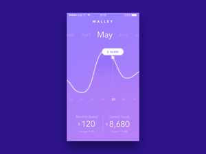 Wallet App Concept by Fariz Maulana