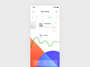 Wallet Statistics Dashboard iOS App by Brice Séraphin