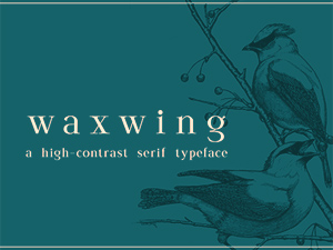 Waxwing Font – Free Display Typeface