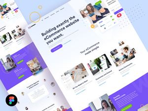 WooCommerce Website Redesign
