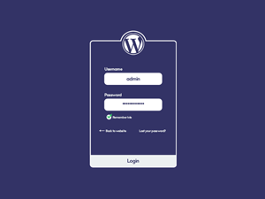 WordPress Flat Login by Barbu Daniel