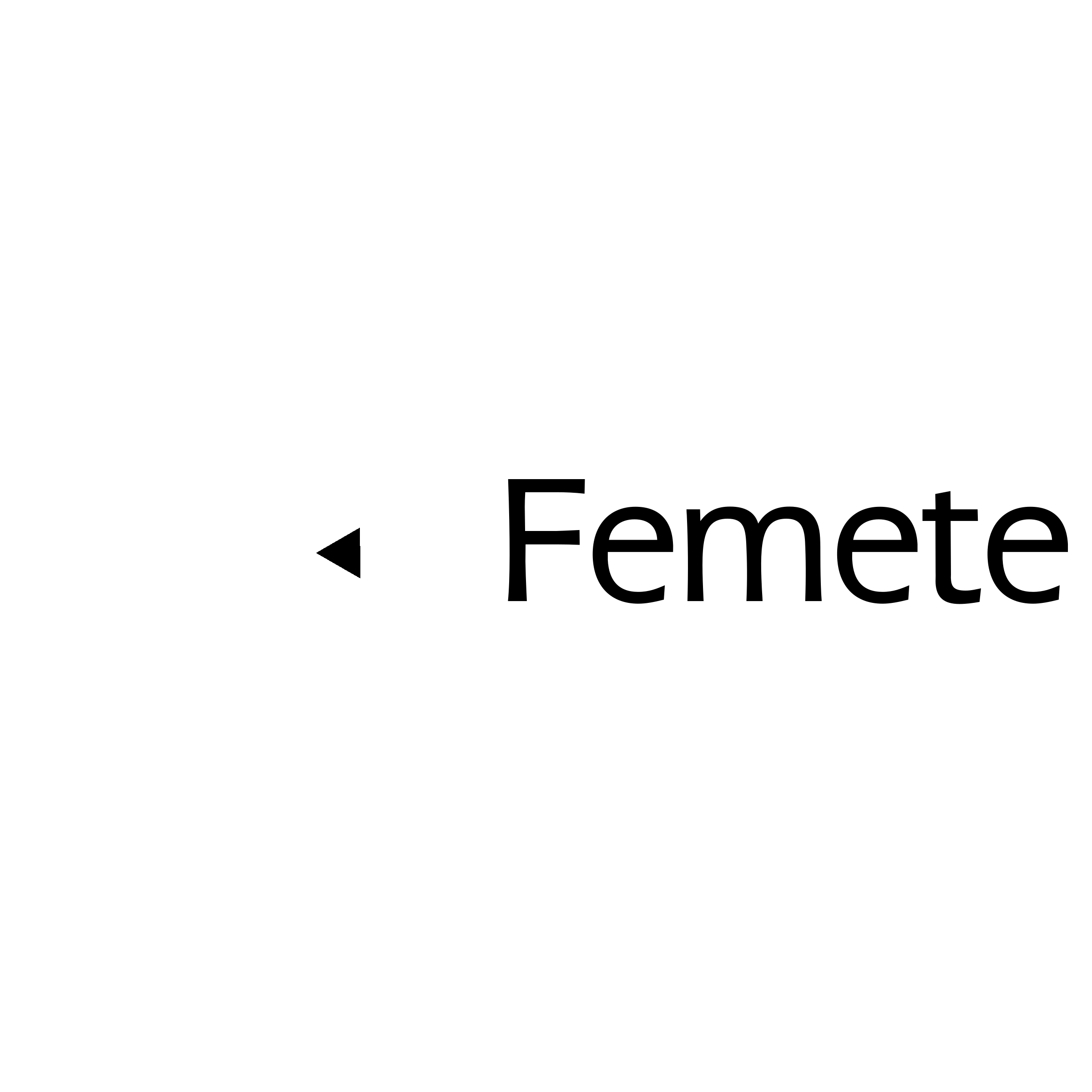 20 Aniv Femete Logo black and white
