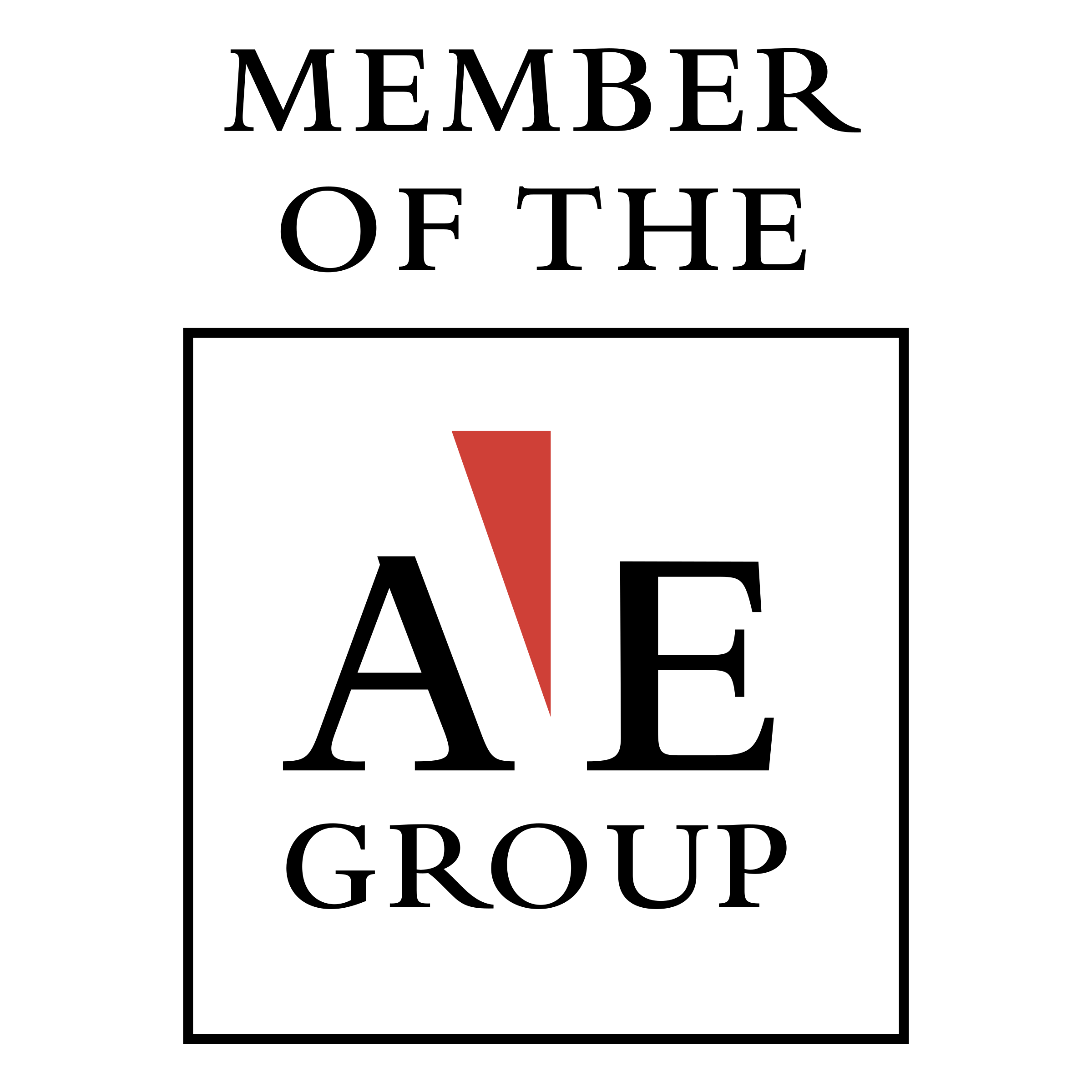 AE Group member Logo png transparent