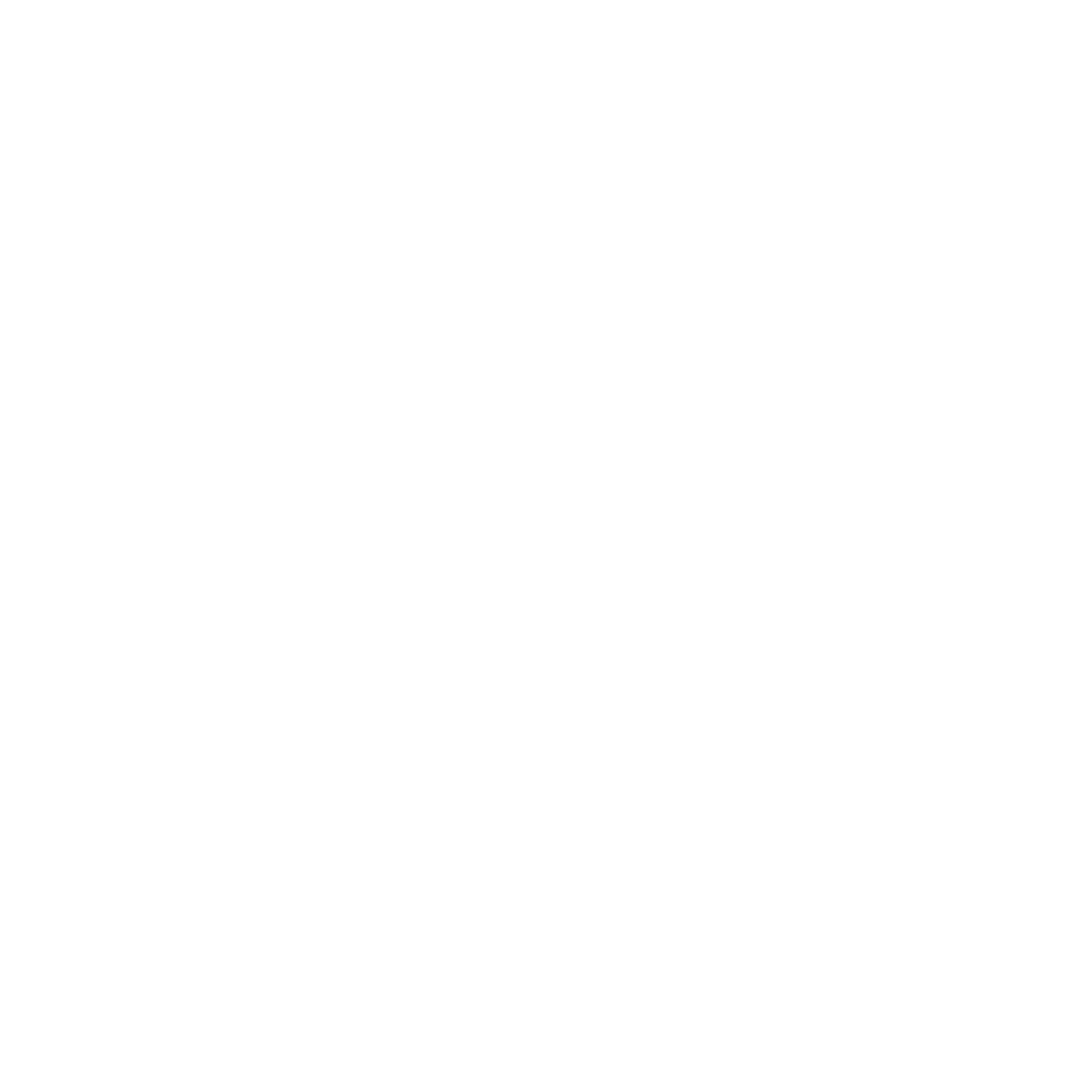 Aeroport International de Vatry 01 Logo black and white