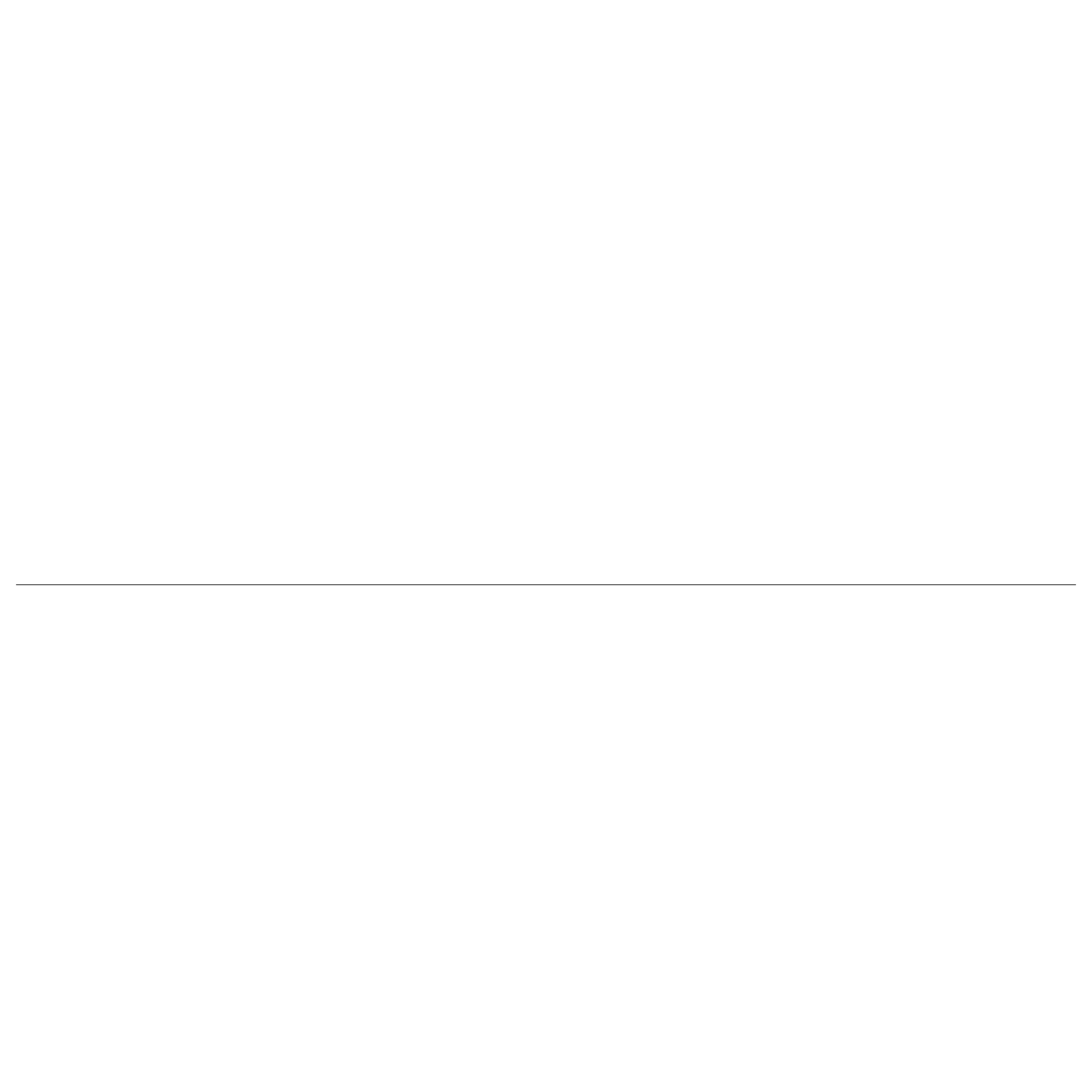 Agie Logo black and white