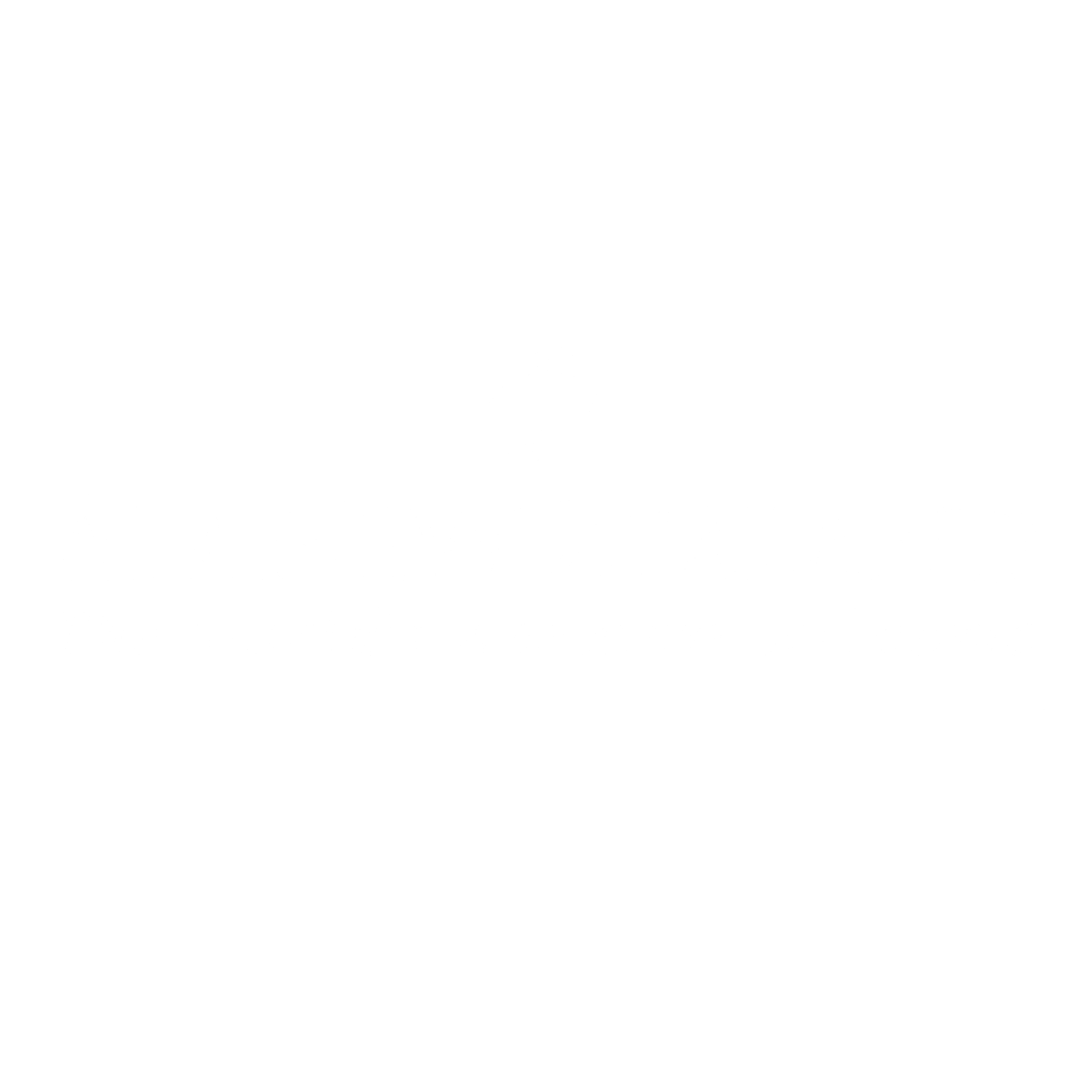 Air New Zealand Logo black and white