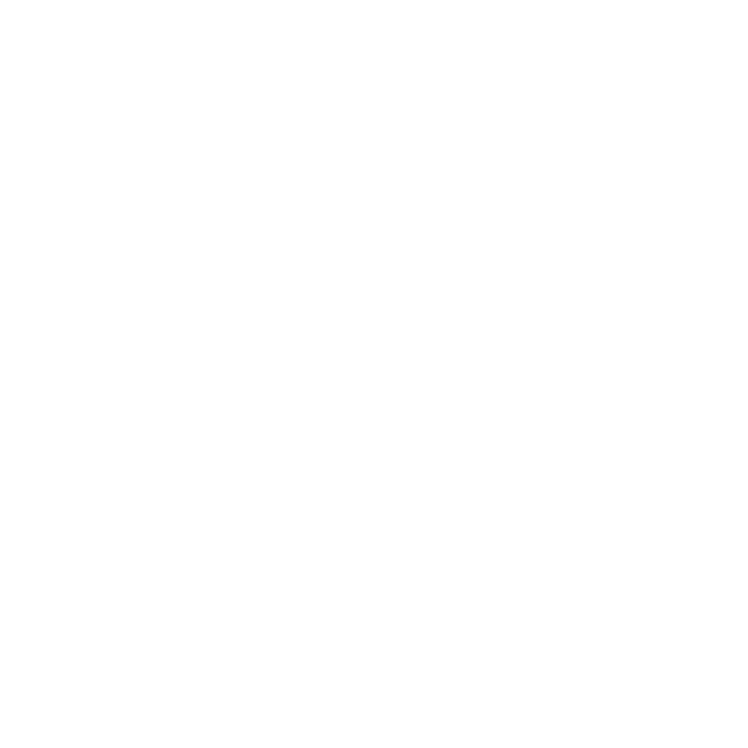 AirTran Airways Logo black and white