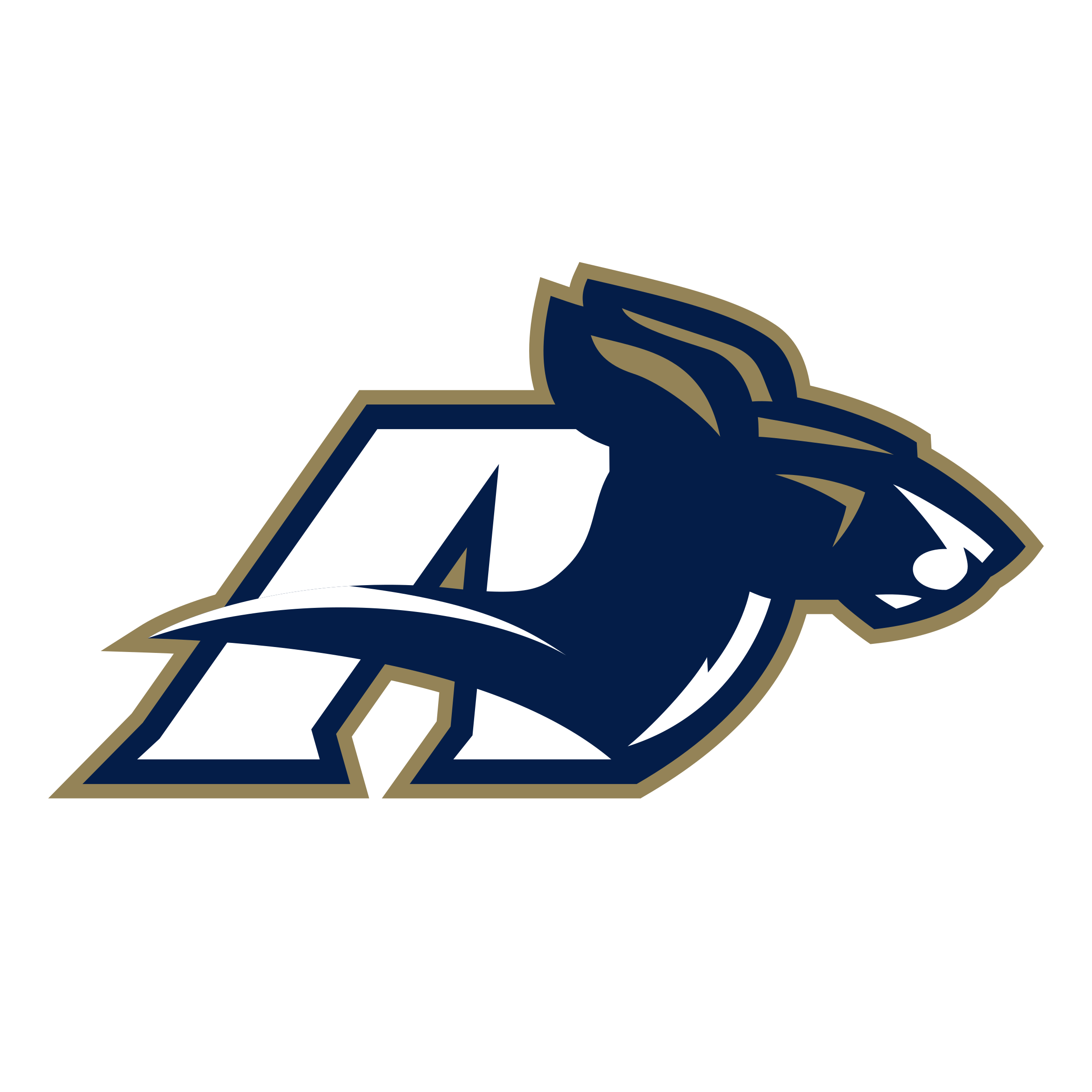 Akron Zips 08 Logo png transparent