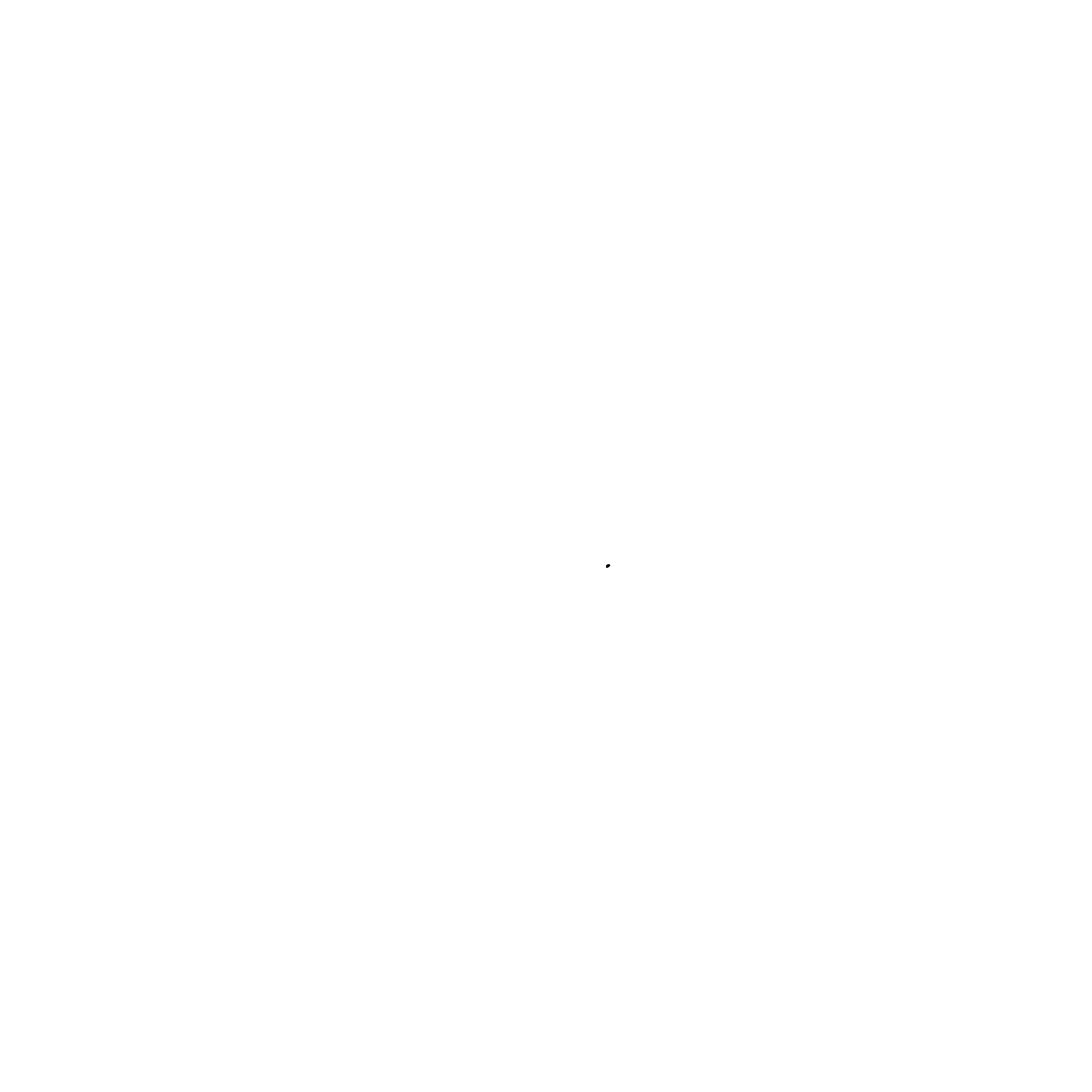 Alcon 03 Logo black and white