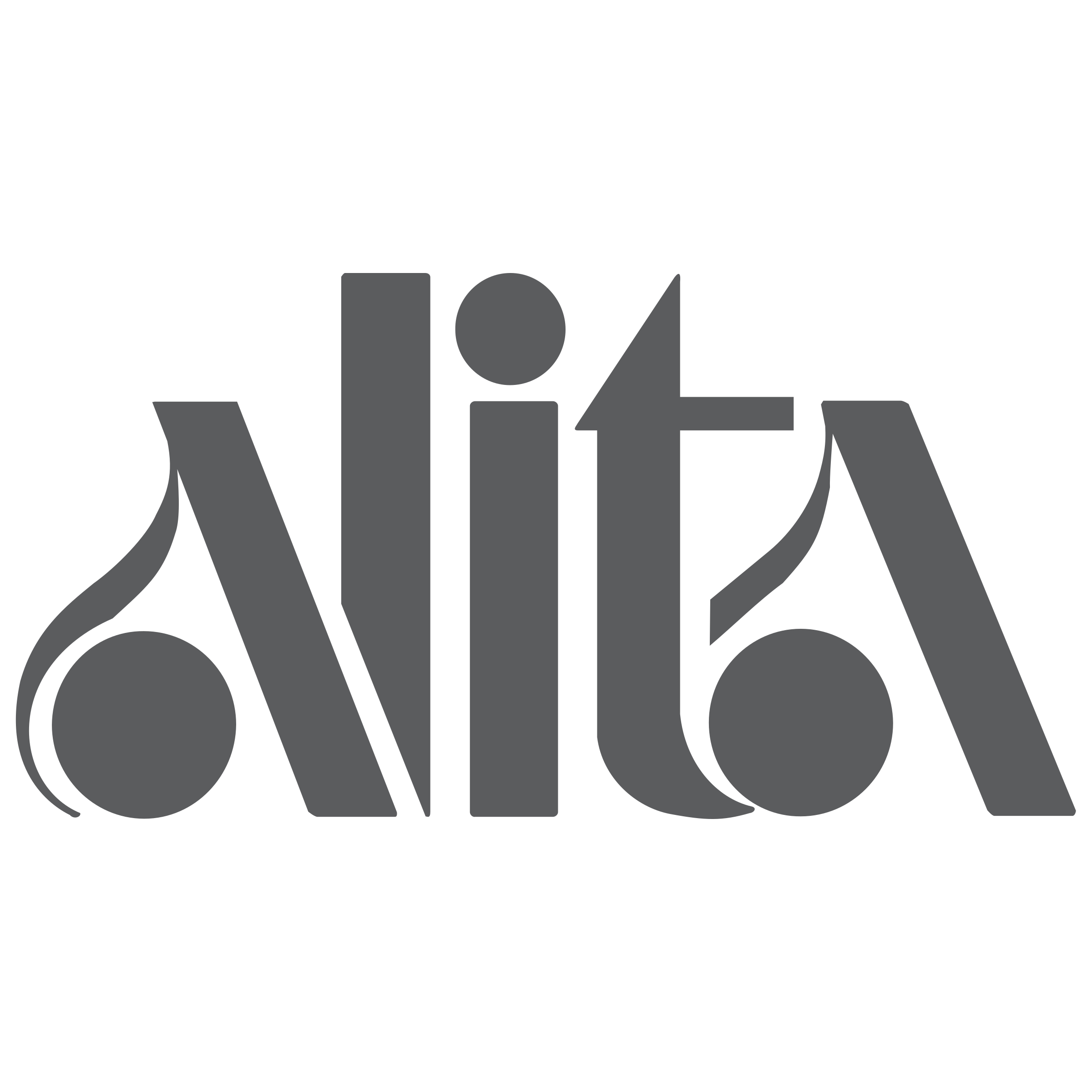 Alita Logo png transparent