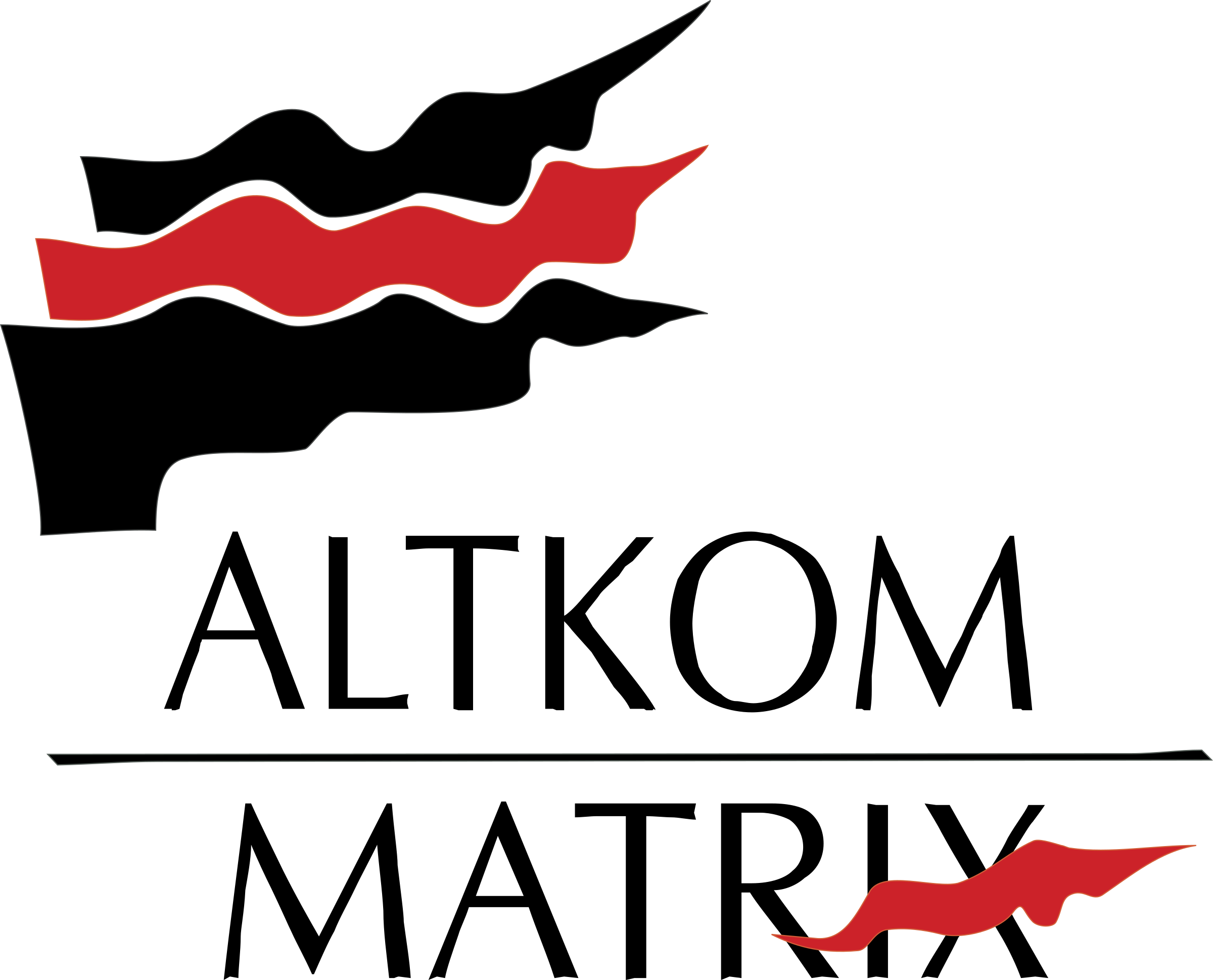 Altkom Matrix Logo png transparent