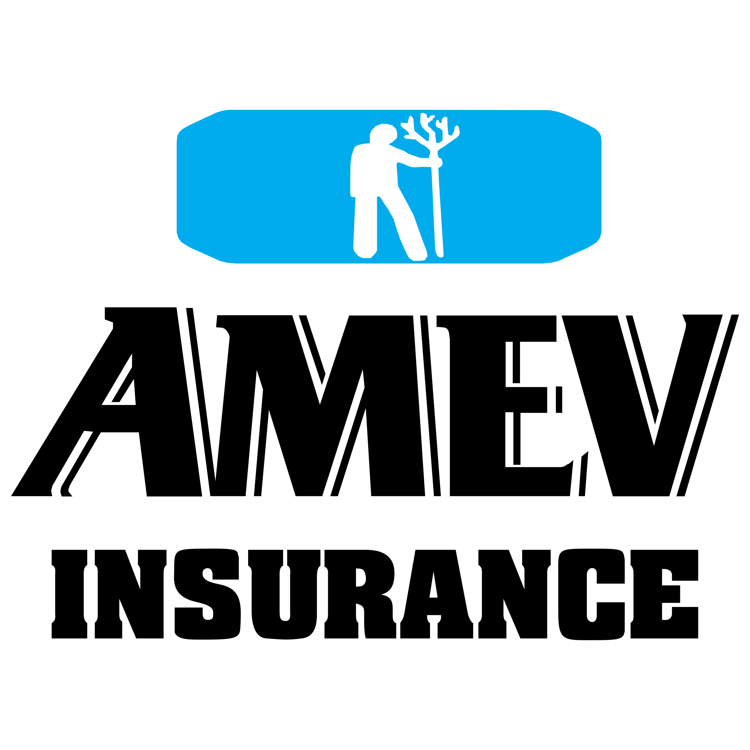 Amev Insurance 6118 Logo png transparent