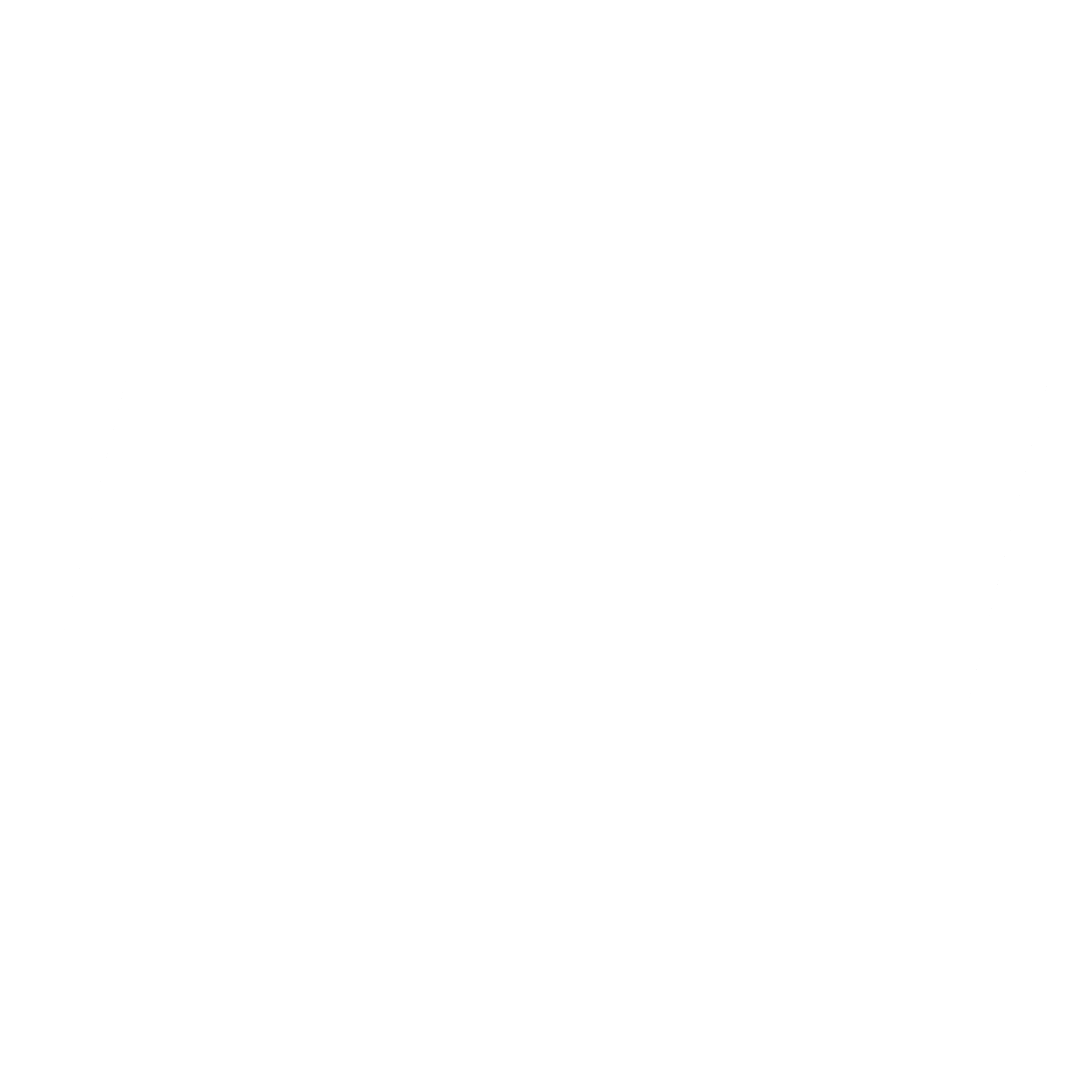 ANA Friendly Partners Logo black and white