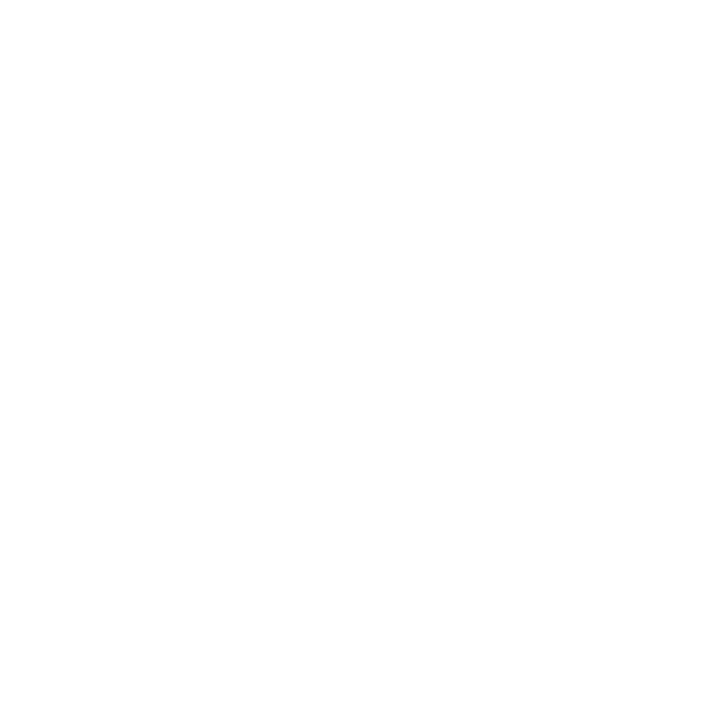 Anpe Logo black and white