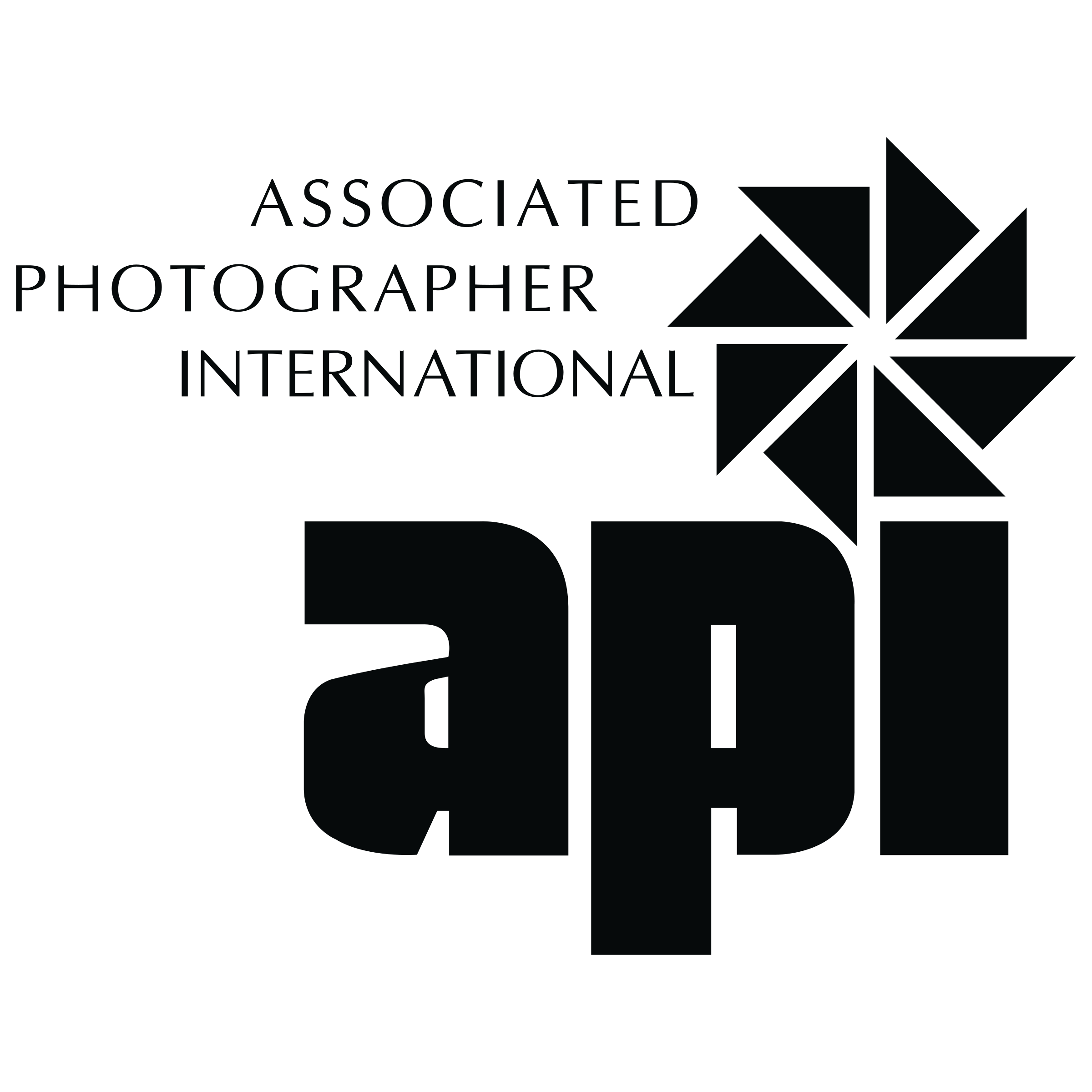 API 7207 Logo png transparent