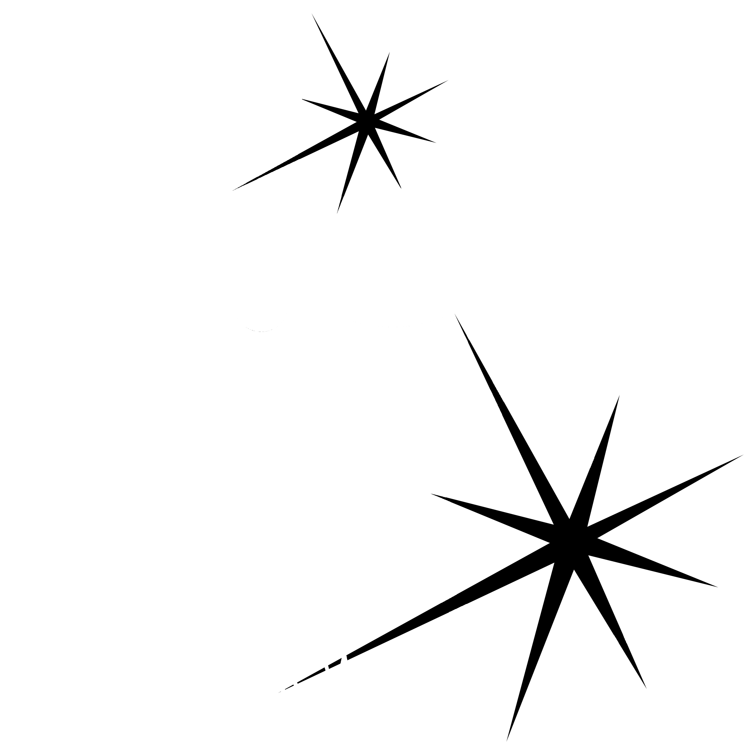 Aqua Star 5731 Logo black and white