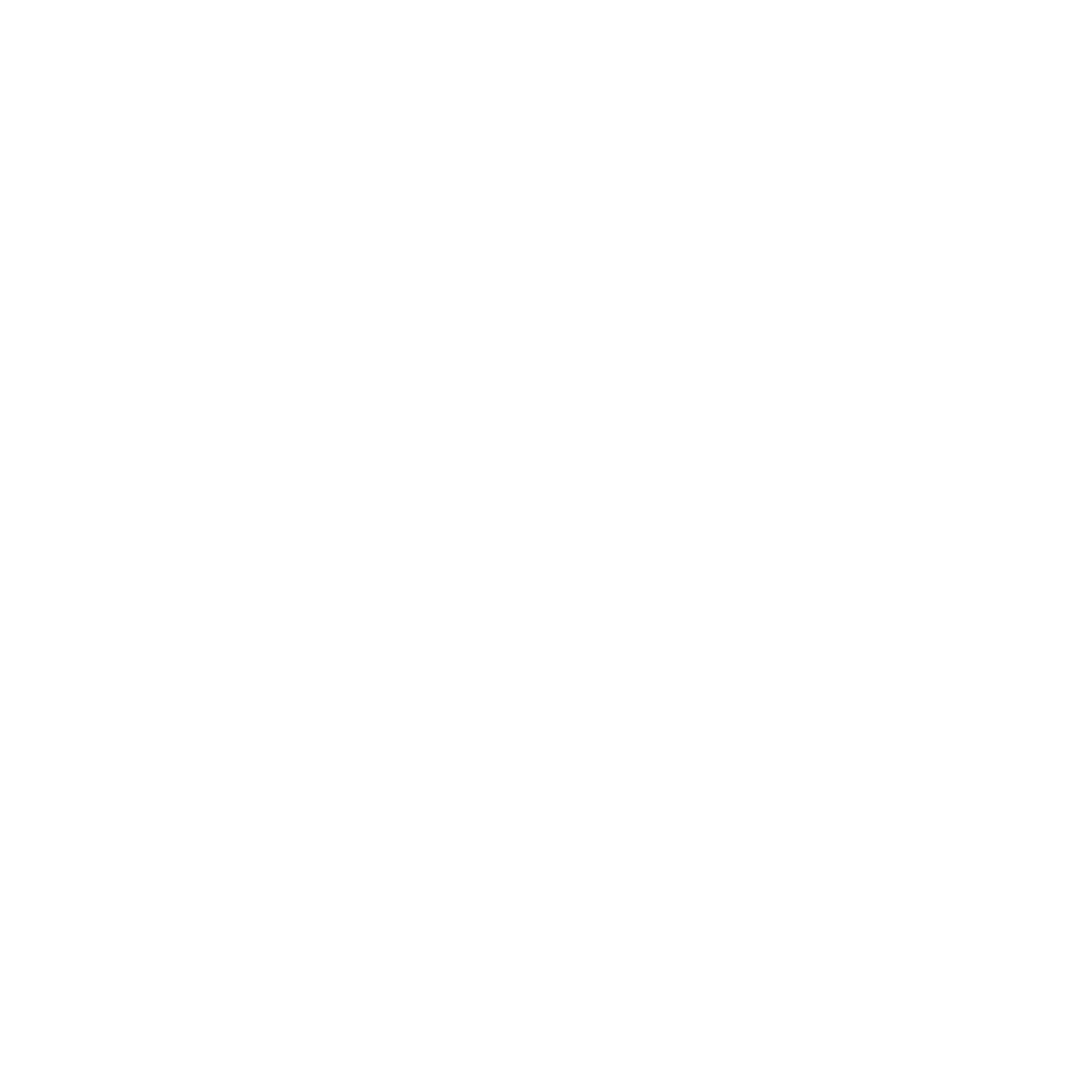ARGUS Computers Logo black and white