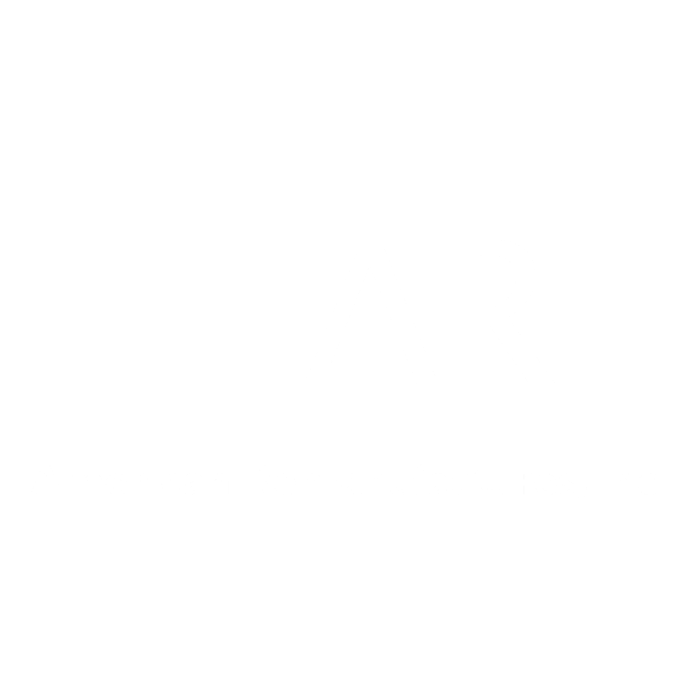 ARI Logo black and white