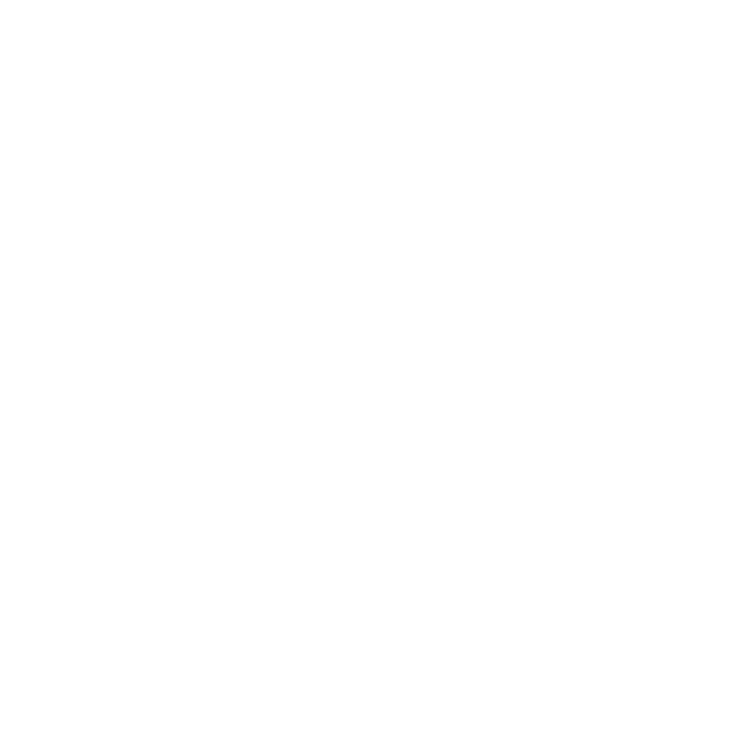 Armenian Airlines Logo black and white