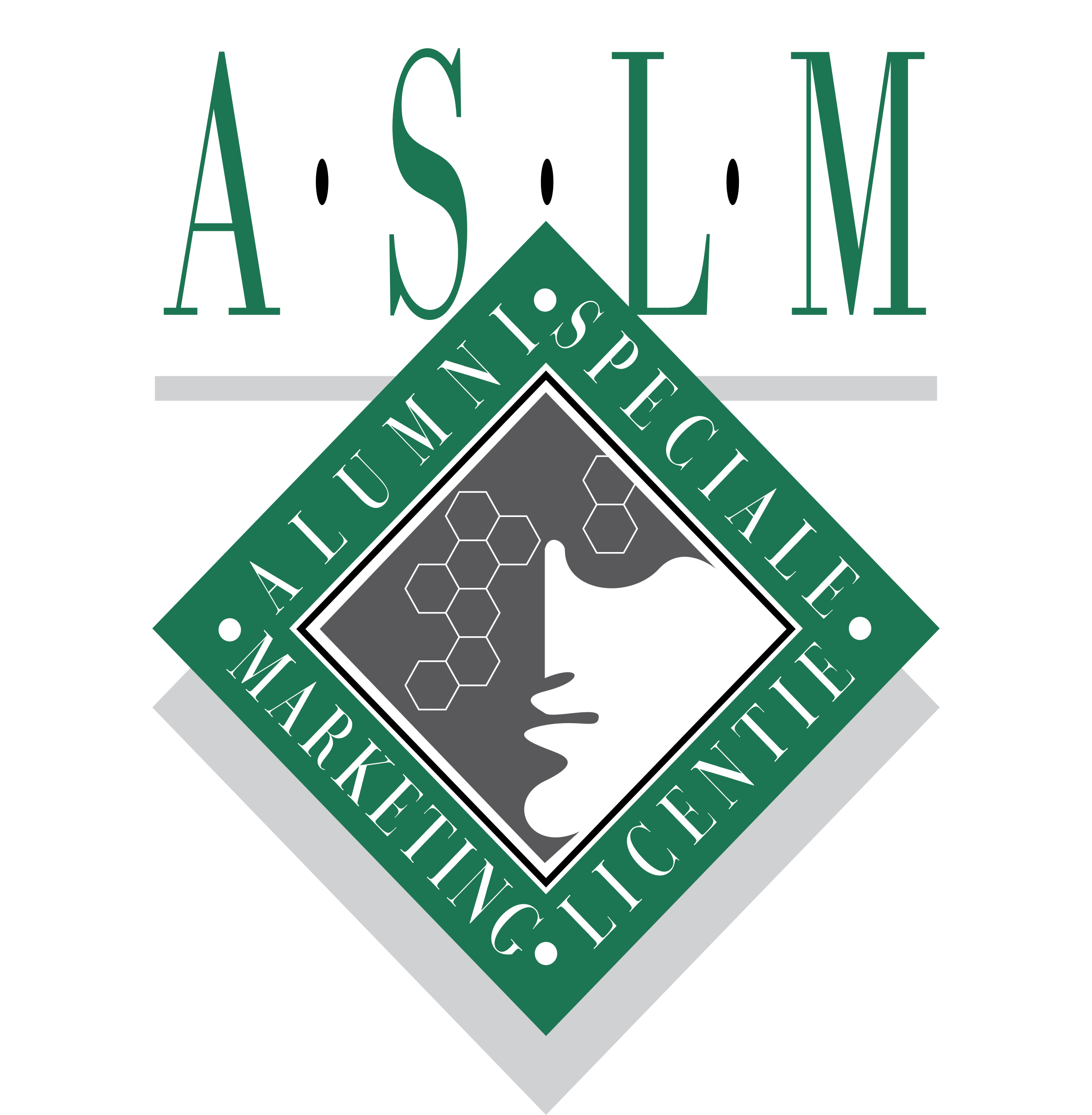 ASLM Logo png transparent